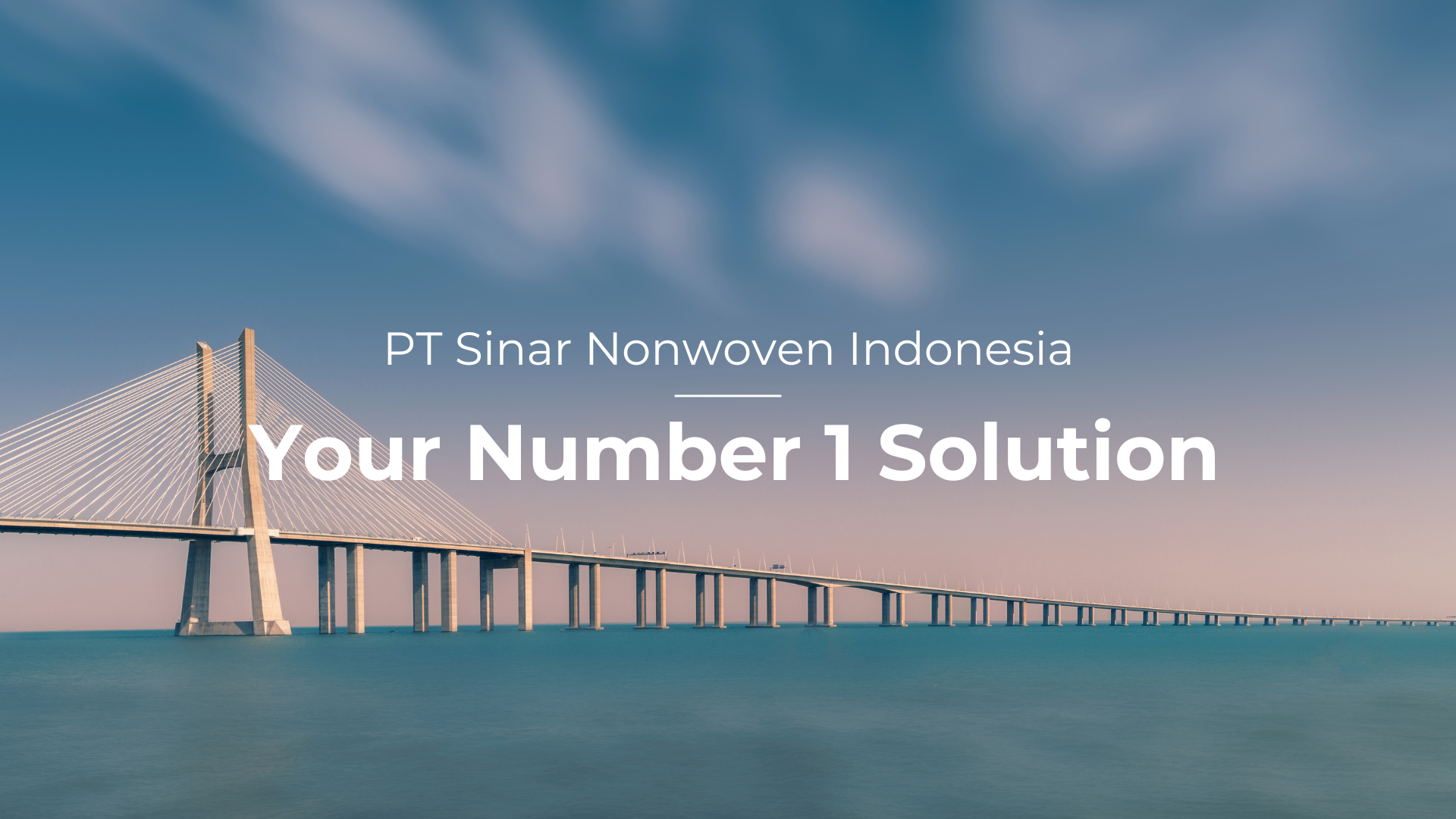 pt sinar nonwoven indonesia (l)